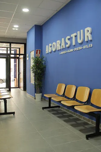 Agorastur Formación LANGREO - Langreo