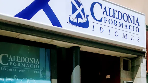 Caledonia Formacio S.L. - Cervello