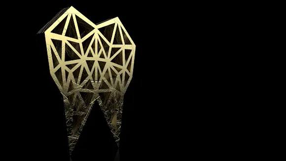 DentalCAD Academy - Pinto