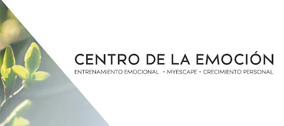 Centro de la Emoción - Burgos