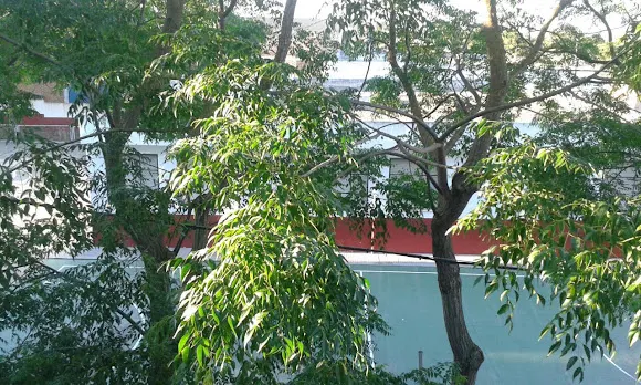 Centro de Estudios Proema