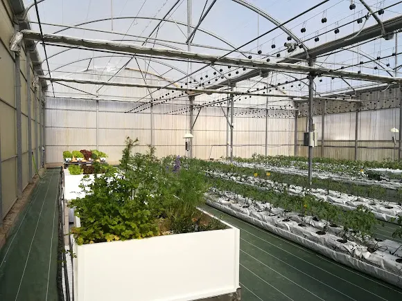 Centro Integrado De Formación Y Experiencias Agrarias De Torre Pacheco - Centro de formación en Torre Pacheco