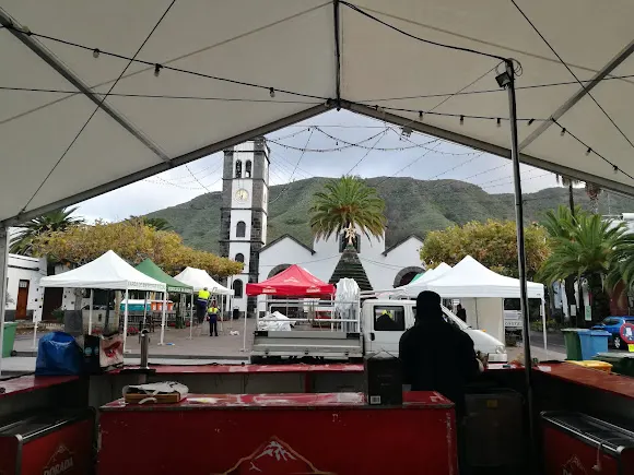 Borealis Training Group
