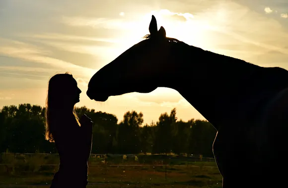 NaturalMente Coaching con Caballos - Traspinedo